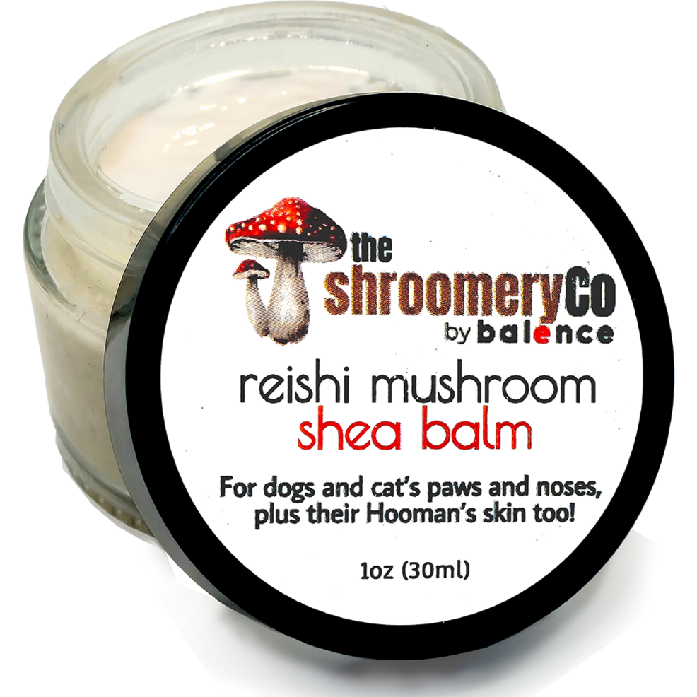 Reishi Mushroom Shea Balm - Non-CBD
