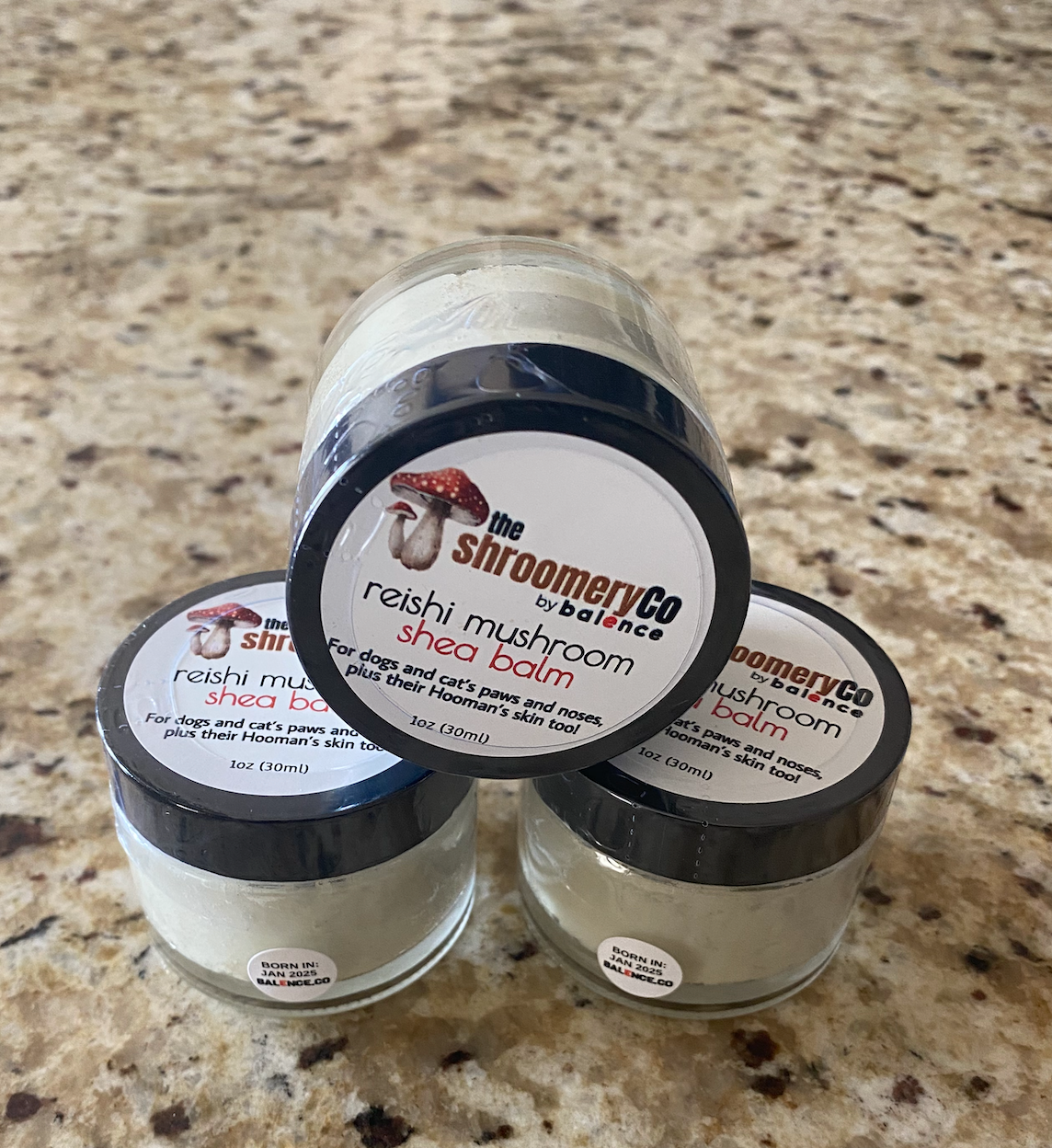 Reishi Mushroom Shea Balm - Non-CBD